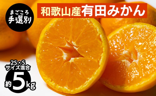 【まごころ手選別】和歌山の有田みかん 5kg (2S・Sサイズ混合) ※2025年11月上旬～2026年1月下旬頃に順次発送予定 2097934 - 和歌山県美浜町