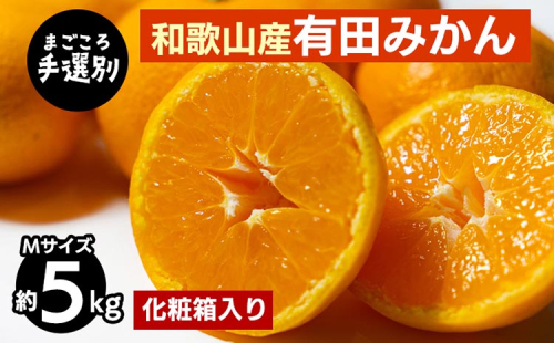 【まごころ手選別】和歌山の有田みかん 化粧箱入り 約5kg Mサイズ ※2025年11月上旬～2026年1月下旬頃に順次発送予定 2097936 - 和歌山県美浜町