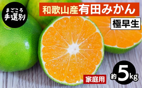 【まごころ手選別】和歌山産 有田みかん(極早生) 5kg 家庭用 ※2025年10月上旬～11月中旬頃に順次発送予定 2097938 - 和歌山県美浜町