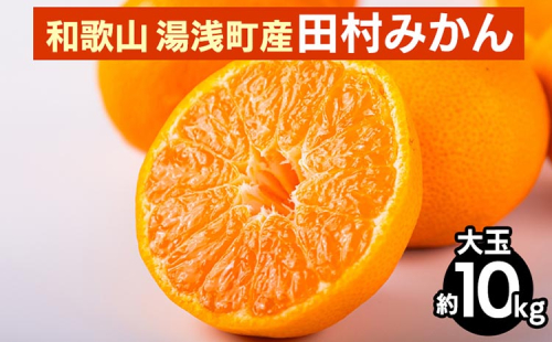 和歌山 湯浅町産 田村みかん 10kg【大玉】 ※2025年11月中旬～2026年1月中旬頃に順次発送予定 2097939 - 和歌山県美浜町