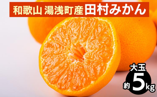 和歌山 湯浅町産 田村みかん 5kg【大玉】 ※2025年11月中旬~2026年1月中旬頃に順次発送予定 2097940 - 和歌山県美浜町