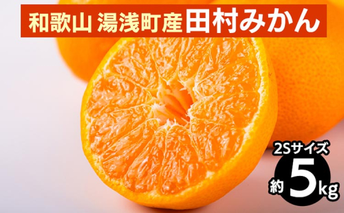 和歌山 湯浅町産 田村みかん 5kg【2Sサイズ】 ※2025年11月中旬～2026年1月中旬頃に順次発送予定 2097941 - 和歌山県美浜町