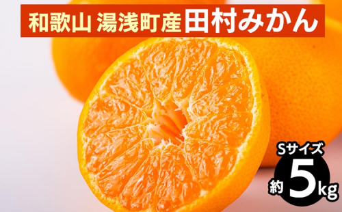 和歌山 湯浅町産 田村みかん 5kg【Sサイズ】 ※2025年11月中旬～2026年1月中旬頃に順次発送予定 2097942 - 和歌山県美浜町