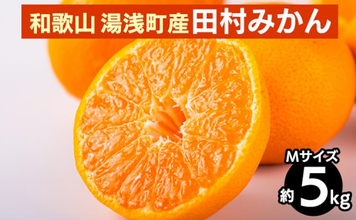 【先行予約】 田村みかん 約5kg 【Mサイズ】 和歌山県 湯浅町 田村地区産 2097943 - 和歌山県美浜町