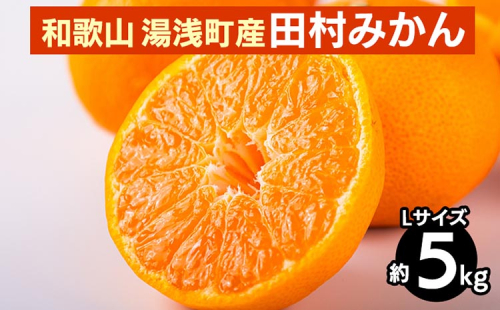 【先行予約】 田村みかん 約5kg 【Lサイズ】 和歌山県 湯浅町 田村地区産 2097944 - 和歌山県美浜町