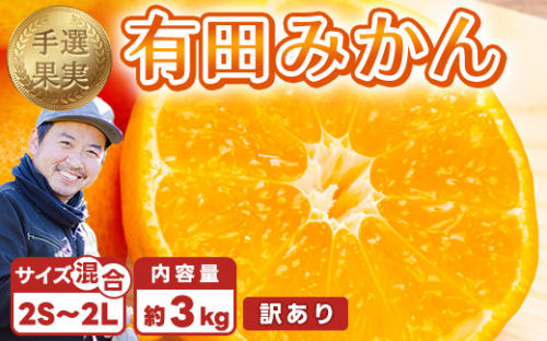 【まごころ手選別】和歌山産 有田みかん 3kg 家庭用(2S～2Lサイズ混合) ※2025年11月上旬～2026年1月下旬頃に順次発送予定 2097945 - 和歌山県美浜町