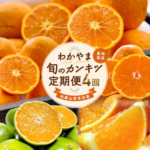【定期便】〈3・4・9・11月 全4回〉わかやま旬のカンキツ定期便【L】全４回（青切りみかん・完熟みかん・春の柑橘・初夏の柑橘）※北海道・沖縄・離島への配送不可 2097946 - 和歌山県美浜町
