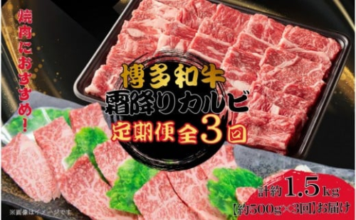 博多和牛 霜降りカルビ 全3回定期便 約500g×3回