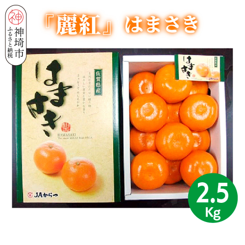 【2026年2月上旬より発送開始】【麗紅】はまさき 2.5kg【みかん 一級品 柑橘 フルーツ デザート】(H116144) 2098298 - 佐賀県神埼市