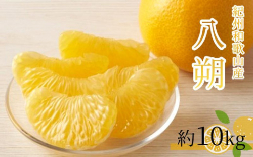 八朔（はっさく）約10kg　紀州和歌山 かつらぎ産【2026年2月上旬頃～2026年2月下旬頃に順次発送】【UT19】 2098373 - 和歌山県上富田町