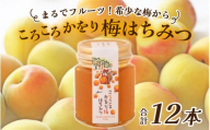 まるでフルーツ！希少な梅から「ころころかをり梅はちみつ」12本 [E-178002] / 梅 うめ はちみつ ハチミツ 加工品 調味料 ジャム 季節ジャム パン ジャムティー ヨーグルト 料理 手造り 詰合せ お取り寄せ 送料無料