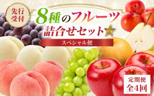 ≪先行受付≫8種のフルーツ詰合せセット★スペシャル便【定期便全４回】 【060-T05】 2098476 - 山形県大江町