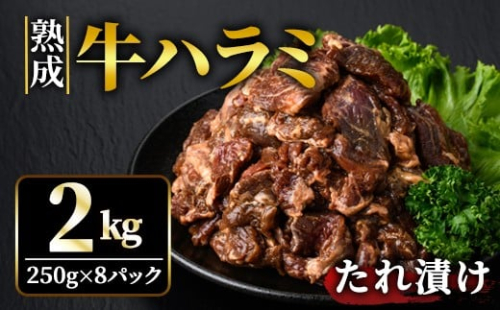 熟成牛ハラミ 2kg (250g×8パック) たれ 味付 小分け 冷凍 焼肉 焼き肉 牛 牛肉 ビーフ ハラミ BBQ 【そうざい男しゃく】【ho1469】