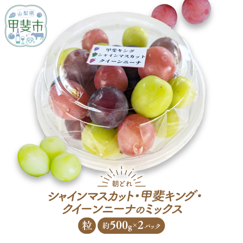 【2026年分発送】【ご家庭用つぶつぶ】ぶどう3種　約1kg　先行予約 先行 予約 山梨県産 産地直送 フルーツ 果物 くだもの ぶどう ブドウ 葡萄 シャイン シャインマスカット 新鮮 人気 おすすめ 国産 山梨 甲斐市 AV-40 2098719 - 山梨県甲斐市