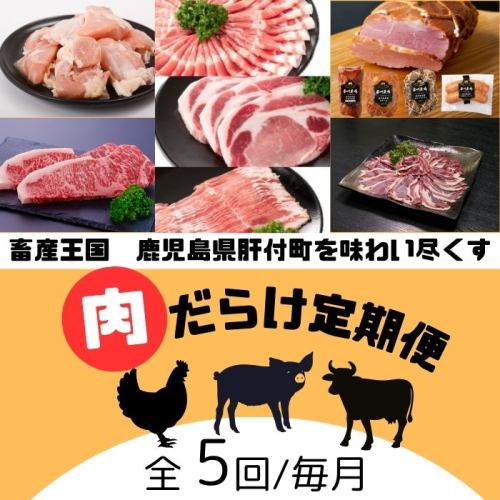 ＜定期便・全5回＞肝付町セレクト定期便《肉だらけ定期便B》 2098721 - 鹿児島県肝付町