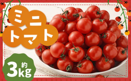 ミニトマト (3kg) トマト 2098881 - 熊本県益城町