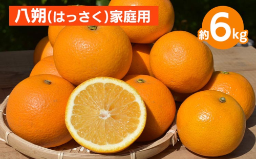 和歌山県産 八朔 6kg 家庭用 ※2026年1月上旬～3月下旬頃に順次発送予定 2098947 - 和歌山県美浜町