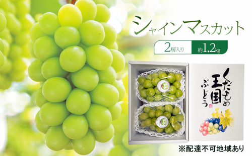 ぶどう 2025年 先行予約 シャインマスカット 2房入り 約1.2kg 岡山県 赤磐市 ブドウ 葡萄 果物 フルーツ 2099274 - 岡山県赤磐市