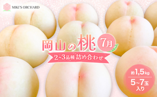桃 【訳あり 2級品】 2025年 先行予約 岡山の桃 7月の桃 2～3品種 詰め合わせ セット 5～7玉入り 約1.5kg  MIKI’S ORCHARD  もも モモ 果物 岡山 家庭用 2099275 - 岡山県赤磐市