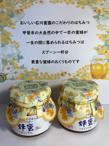 石川蜜園そのまんま　蜂蜜(250g×2本)セット [山梨 はちみつ 蜂蜜] 2099417 - 山梨県甲斐市