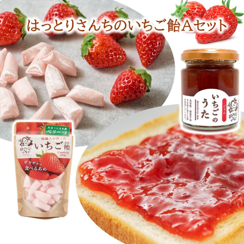 はっとりさんちのいちご飴Aセット_2525R 2099459 - 大分県国東市