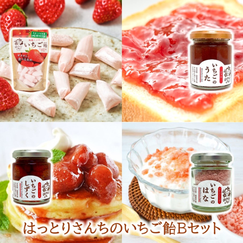 はっとりさんちのいちご飴Bセット_2526R 2099460 - 大分県国東市