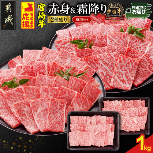畜産農家応援! 宮崎牛焼肉2種セット500g×2パック≪みやこんじょ快速便≫_17-N202-R 2099598 - 宮崎県都城市