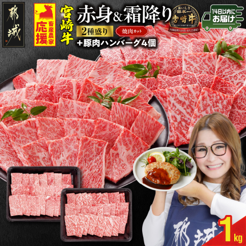 畜産農家応援! 宮崎牛焼肉2種セット500g×2パック+豚肉ハンバーグ100g×4個≪みやこんじょ快速便≫_17-N202-R-ESH 2099598 - 宮崎県都城市