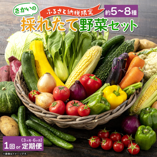 【定期便/連続お届け】さかいの採れたて 野菜セット(5～8種) 道の駅さかい おまかせ 産地直送 新鮮　1回 or 3ヶ月 or 6ヶ月 2099607 - 茨城県境町