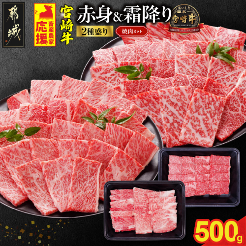 畜産農家応援! 宮崎牛焼肉2種セット250g×2パック_13-N202 2099674 - 宮崎県都城市