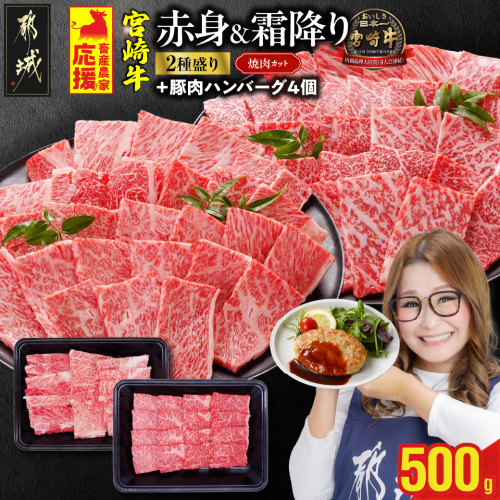 畜産農家応援! 宮崎牛焼肉2種セット250g×2パック+豚肉ハンバーグ100g×4個_13-N202-ESH 2099674 - 宮崎県都城市
