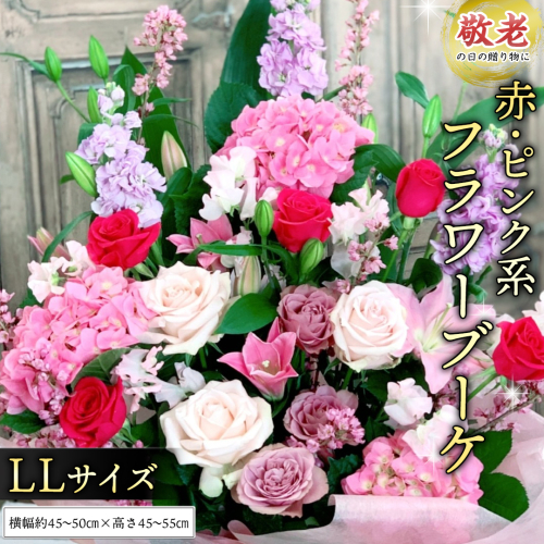 【 敬老の日 】 季節のお花の フラワーアレンジメント LL（赤・ピンク系） ギフト プレゼント 花 お祝い 贈答 記念日 フラワー [CT160ci] 2099766 - 茨城県筑西市
