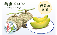 希少品　特選　美旗メロン　2L（青）2玉