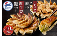 紅生姜餃子 スタミナ餃子 各20個(計40個) セット ギョーザ 創作餃子 野菜 ニンニク おかず おつまみ 食べ比べ 特製 中華 食品 冷凍発送 富士市 [sf001-221]