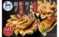 紅生姜餃子 スタミナ餃子 各30個(計60個) セット ギョーザ 創作餃子 野菜 ニンニク おかず おつまみ 食べ比べ 特製 中華 食品 冷凍発送 富士市 [sf001-221]