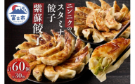 紫蘇餃子 スタミナ餃子 各30個(計60個) セット ギョーザ しそ ニンニク おかず おつまみ 食べ比べ 特製 中華 食品 冷凍発送 富士市 [sf001-224]