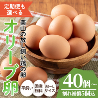No.779/No.780 [定期便も選べる!]鹿児島県産美山オリーブ卵(40個/定期便・40個×6回連続) 割れ保証付 国産 九州産 鹿児島県産 たまご タマゴ 有精卵 卵 鶏卵 生卵 おかず TKG 卵かけご飯 朝食 定期便 頒布会 数量限定[美山たまご王国]