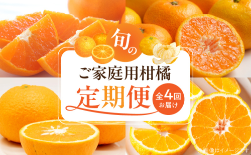 G60-T98_【発送月固定定期便】紀州和歌山産旬のご家庭用柑橘セット(みかん・不知火・せとか・清見)全4回 2099976 - 和歌山県湯浅町