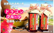 2359 徳之島産ドラゴンフルーツ使用！低糖度のドラゴンフルーツソース（100ml×２瓶） （ ドラゴンフルーツ ドラゴン 完熟 赤 ヨーグルト パン ソース フルーツソース 果物 フルーツ 調味料 甘み 朝ごはん 徳之島 奄美 鹿児島 美味しい キッチンこころ ）