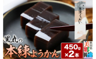 本練ようかん 2本（450g×2本） ＜ゆうパケット＞