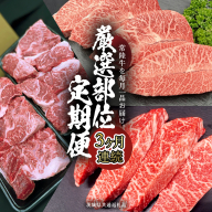 【 常陸牛 】 3ヶ月連続定期便！厳選部位を毎月１品お届け (茨城県共通返礼品) 希少部位 国産黒毛和牛 黒毛和牛 国産 国産牛 和牛 牛肉 お肉  お肉 肉 牛 専門店 ひたち牛 ブランド牛 A4 A5 ランク イチボ ミスジ ステーキ すね肉 ブランド 冷凍 BBQ バーベキュー 焼肉 煮込み トロトロ とろとろ 藤井商店 [CD084sa]