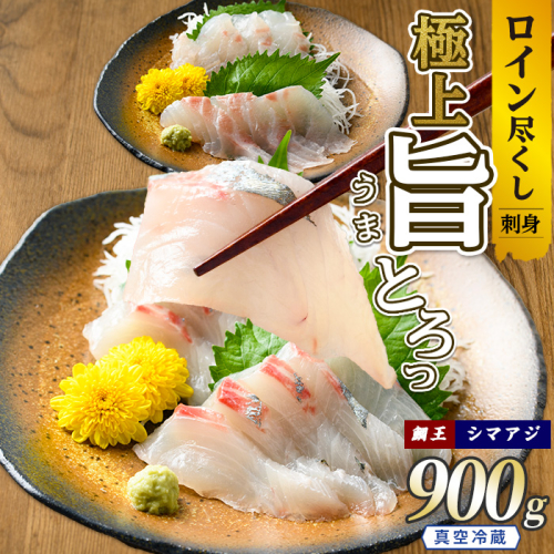 【お刺身用】ロイン2種詰め合わせ 約900g 切って盛るだけ ロイン 鯛王4節 シマアジ4節 届いてすぐに食べれる 長島町 冷蔵 ふるさと納税 【JFA】jfa-1499 2100358 - 鹿児島県長島町