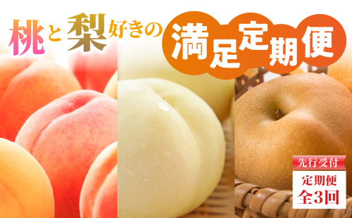 ≪先行受付≫ 桃と梨好きの満足定期便【定期便全3回】【060-T10】 2100440 - 山形県大江町