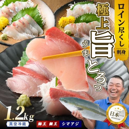 【お刺身用】ロイン3種詰め合わせ 約1.2kg 切って盛るだけ ロイン 鰤王2節 鯛王4節 シマアジ4節 テレビで紹介ぶりの王様「 鰤王 」 届いてすぐに食べれる 長島町 冷蔵 ふるさと納税 【JFA】jfa-1498 2100475 - 鹿児島県長島町