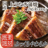 AC134.【国内産】上うなぎ蒲焼.2尾（約300g）『1～2ヶ月前後でお届け！！』