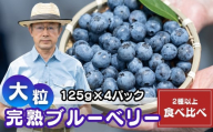 ブルーベリー 食べ比べ 4パック (125g✕4) | 国産 大粒 生ブルーベリー 新鮮 フレッシュ 小分け とれたて くだもの ぶるーべりー 贈答 ギフト プレゼント 化粧箱 産直 旬 食べ比べ 完熟 お取り寄せ 農家 直送 デザート フルーツ こだわり 初夏 果物 埼玉県産 金子果樹園 埼玉県 北本市