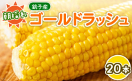 【先行予約 7月中旬~8月上旬発送予定】とうもろこし 20本 コーン 朝採り 旬 国産 産地直送 シーズン限定 冷蔵 野菜 甘い 甘み ジューシー 栄養 ビタミン ミネラル 美容 夏 トッピング  サラダ ご飯 新鮮 お歳暮 お中元 祝い お取り寄せ 贈答 ギフト プレゼント 母の日 父の日 贈答 ギフト プレゼント 銚子産 送料無料 ふるさと納税 千葉県 銚子市 勘兵衛