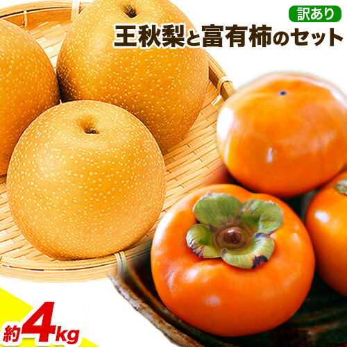【2026年先行予約】訳あり 王秋梨と富有柿のセット 4kg 高間商店《2026年11月上旬-12月下旬頃出荷》鳥取県 八頭町 送料無料 梨 なし ナシ 柿 かき カキ 王秋梨 富有柿 果物 フルーツ ギフト 贈り物 2100965 - 鳥取県八頭町