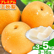 【2026年先行予約】プレミアム 王秋梨 選べる 約3kg (3～10玉) 約4kg (4～13玉) 約5kg (5～16玉) 高間商店《2026年10月下旬-1月中旬頃出荷予定》鳥取県 八頭町 梨なし ナシ 果物 フルーツ 厳選　先行予約　ふるさと納税　返礼品　国産　高間商店　　甘い　王秋梨　高糖度