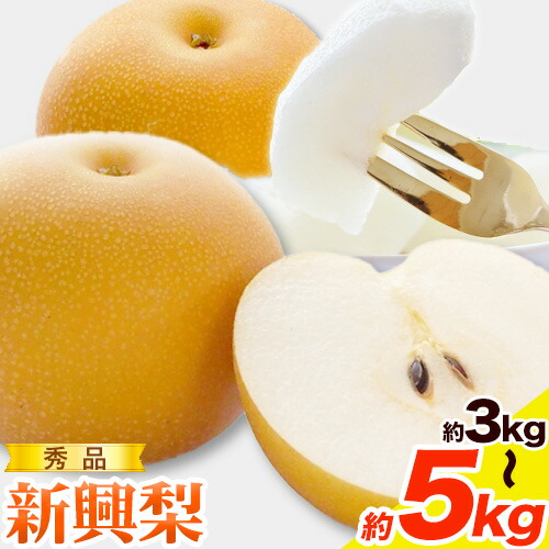 【2026年先行予約】秀品 新興梨 選べる内容量 約3kg (3～10玉) 約4kg (4～13玉) 約5kg (5～16玉) 高間商店《2026年10月上旬-12月上旬頃出荷》鳥取県 八頭町 梨 なし ナシ 果物 フルーツ 秀品 新興梨 甘い 果汁 果実 くだもの 2100969 - 鳥取県八頭町